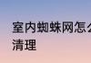 室内蜘蛛网怎么清理 室内蜘蛛网如何清理