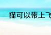 猫可以带上飞机吗 猫能上飞机吗