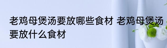 老鸡母煲汤要放哪些食材 老鸡母煲汤要放什么食材