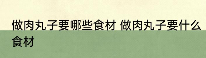 做肉丸子要哪些食材 做肉丸子要什么食材