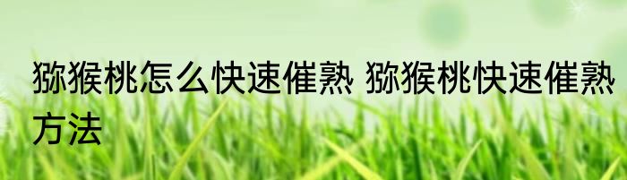 猕猴桃怎么快速催熟 猕猴桃快速催熟方法