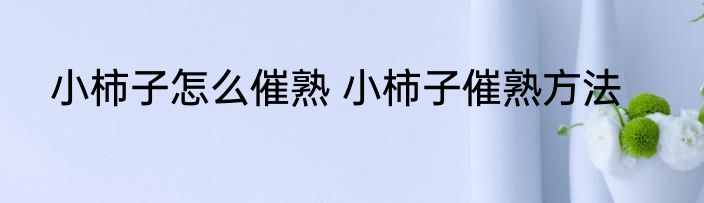 小柿子怎么催熟 小柿子催熟方法