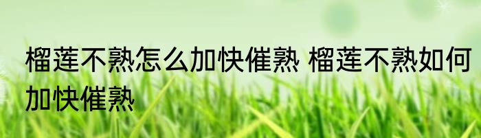 榴莲不熟怎么加快催熟 榴莲不熟如何加快催熟