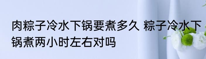 肉粽子冷水下锅要煮多久 粽子冷水下锅煮两小时左右对吗