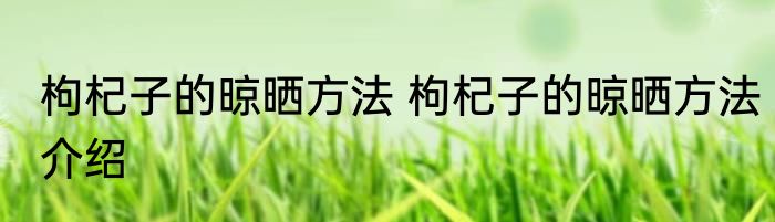 枸杞子的晾晒方法 枸杞子的晾晒方法介绍