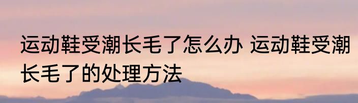 运动鞋受潮长毛了怎么办 运动鞋受潮长毛了的处理方法