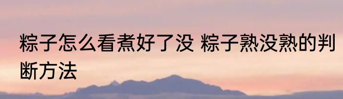 粽子怎么看煮好了没 粽子熟没熟的判断方法