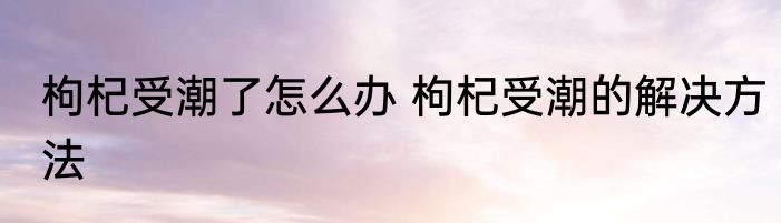 枸杞受潮了怎么办 枸杞受潮的解决方法