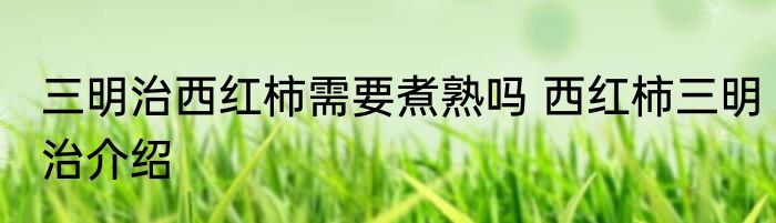 三明治西红柿需要煮熟吗 西红柿三明治介绍
