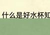 什么是好水杯知乎 哪些材质的杯子好