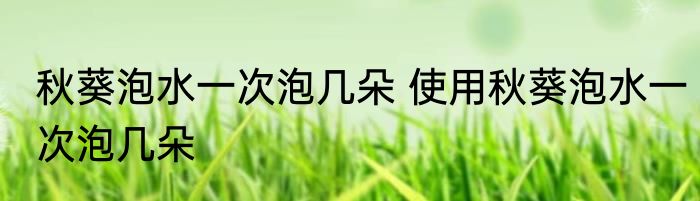 秋葵泡水一次泡几朵 使用秋葵泡水一次泡几朵