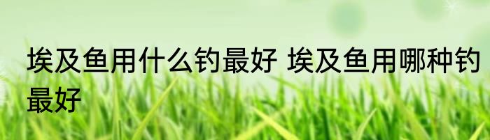 埃及鱼用什么钓最好 埃及鱼用哪种钓最好