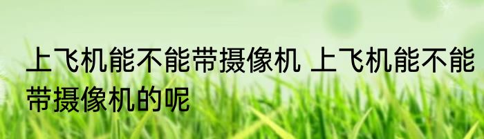 上飞机能不能带摄像机 上飞机能不能带摄像机的呢