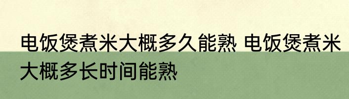 电饭煲煮米大概多久能熟 电饭煲煮米大概多长时间能熟