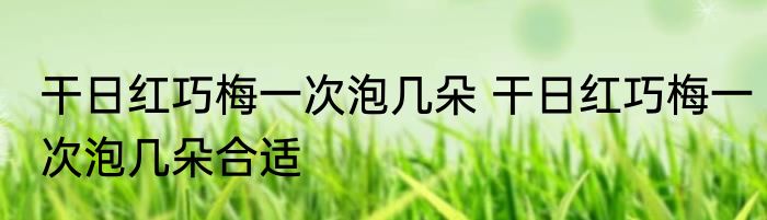 干日红巧梅一次泡几朵 干日红巧梅一次泡几朵合适