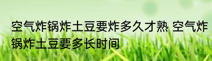 空气炸锅炸土豆要炸多久才熟 空气炸锅炸土豆要多长时间