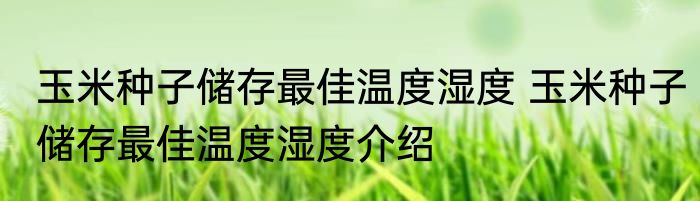玉米种子储存最佳温度湿度 玉米种子储存最佳温度湿度介绍