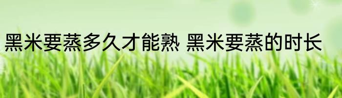黑米要蒸多久才能熟 黑米要蒸的时长