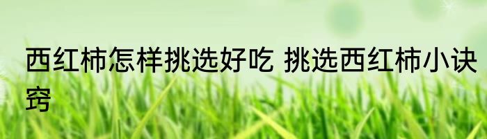 西红柿怎样挑选好吃 挑选西红柿小诀窍