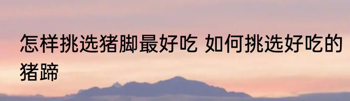 怎样挑选猪脚最好吃 如何挑选好吃的猪蹄