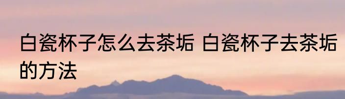 白瓷杯子怎么去茶垢 白瓷杯子去茶垢的方法