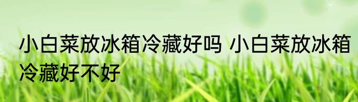 小白菜放冰箱冷藏好吗 小白菜放冰箱冷藏好不好