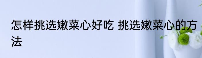 怎样挑选嫩菜心好吃 挑选嫩菜心的方法