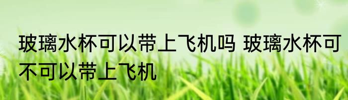 玻璃水杯可以带上飞机吗 玻璃水杯可不可以带上飞机