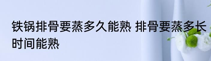 铁锅排骨要蒸多久能熟 排骨要蒸多长时间能熟