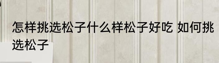 怎样挑选松子什么样松子好吃 如何挑选松子