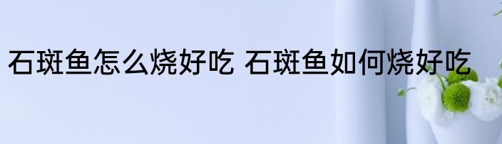 石斑鱼怎么烧好吃 石斑鱼如何烧好吃