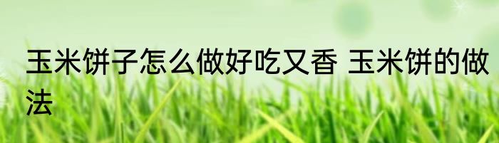 玉米饼子怎么做好吃又香 玉米饼的做法