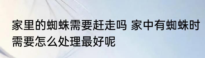 家里的蜘蛛需要赶走吗 家中有蜘蛛时需要怎么处理最好呢