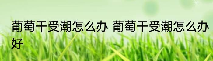 葡萄干受潮怎么办 葡萄干受潮怎么办好