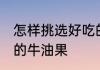 怎样挑选好吃的牛油果 如何挑选好吃的牛油果