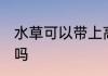水草可以带上高铁吗 水草能带上高铁吗