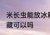 米长虫能放冰箱冷藏吗 大米放冰箱冷藏可以吗