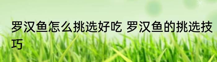 罗汉鱼怎么挑选好吃 罗汉鱼的挑选技巧