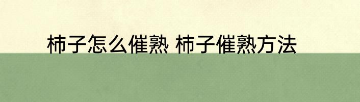 杮子怎么催熟 杮子催熟方法