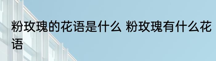 粉玫瑰的花语是什么 粉玫瑰有什么花语