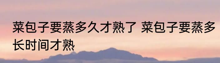 菜包子要蒸多久才熟了 菜包子要蒸多长时间才熟