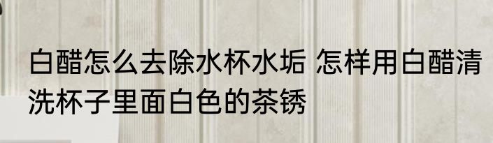 白醋怎么去除水杯水垢 怎样用白醋清洗杯子里面白色的茶锈