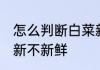 怎么判断白菜新不新鲜 如何判断白菜新不新鲜
