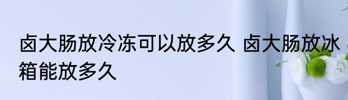 卤大肠放冷冻可以放多久 卤大肠放冰箱能放多久