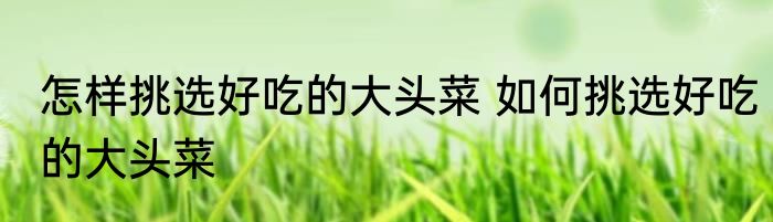 怎样挑选好吃的大头菜 如何挑选好吃的大头菜