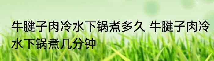 牛腱子肉冷水下锅煮多久 牛腱子肉冷水下锅煮几分钟
