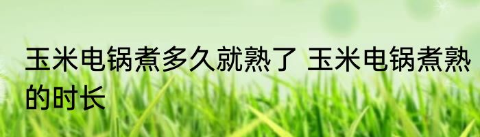 玉米电锅煮多久就熟了 玉米电锅煮熟的时长