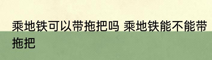 乘地铁可以带拖把吗 乘地铁能不能带拖把