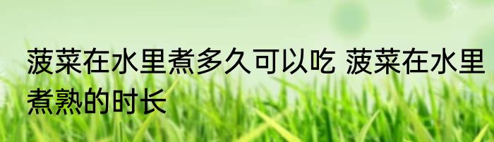 菠菜在水里煮多久可以吃 菠菜在水里煮熟的时长