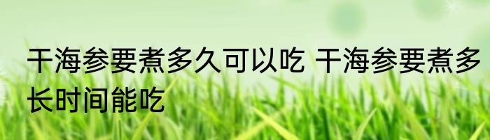 干海参要煮多久可以吃 干海参要煮多长时间能吃
